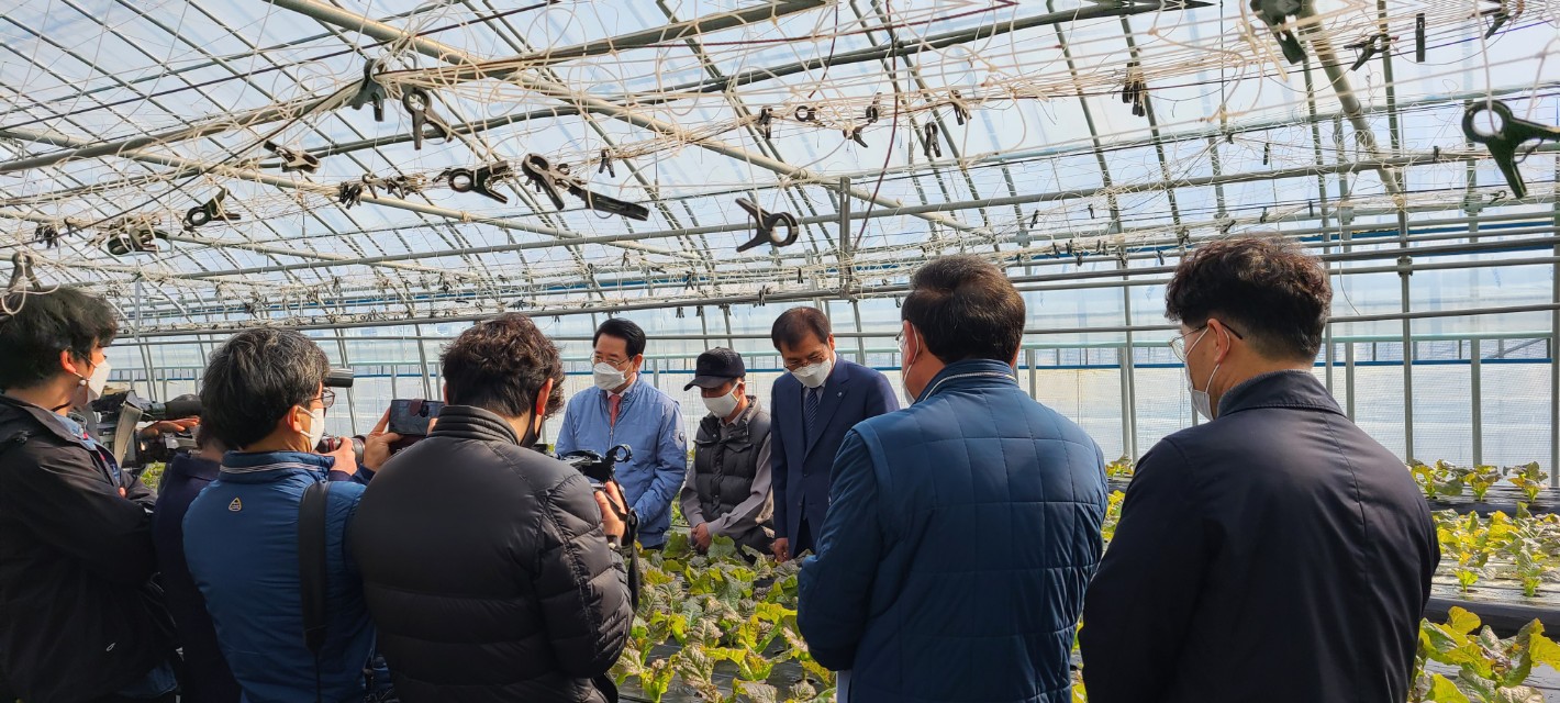 지난 2월 김경록 도지사님 함평에 흑하랑 상추 재배농가 방문