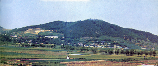 1984년 구기산 마을 전경
