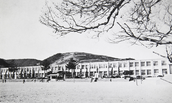 1980년 함평초등학교 전경