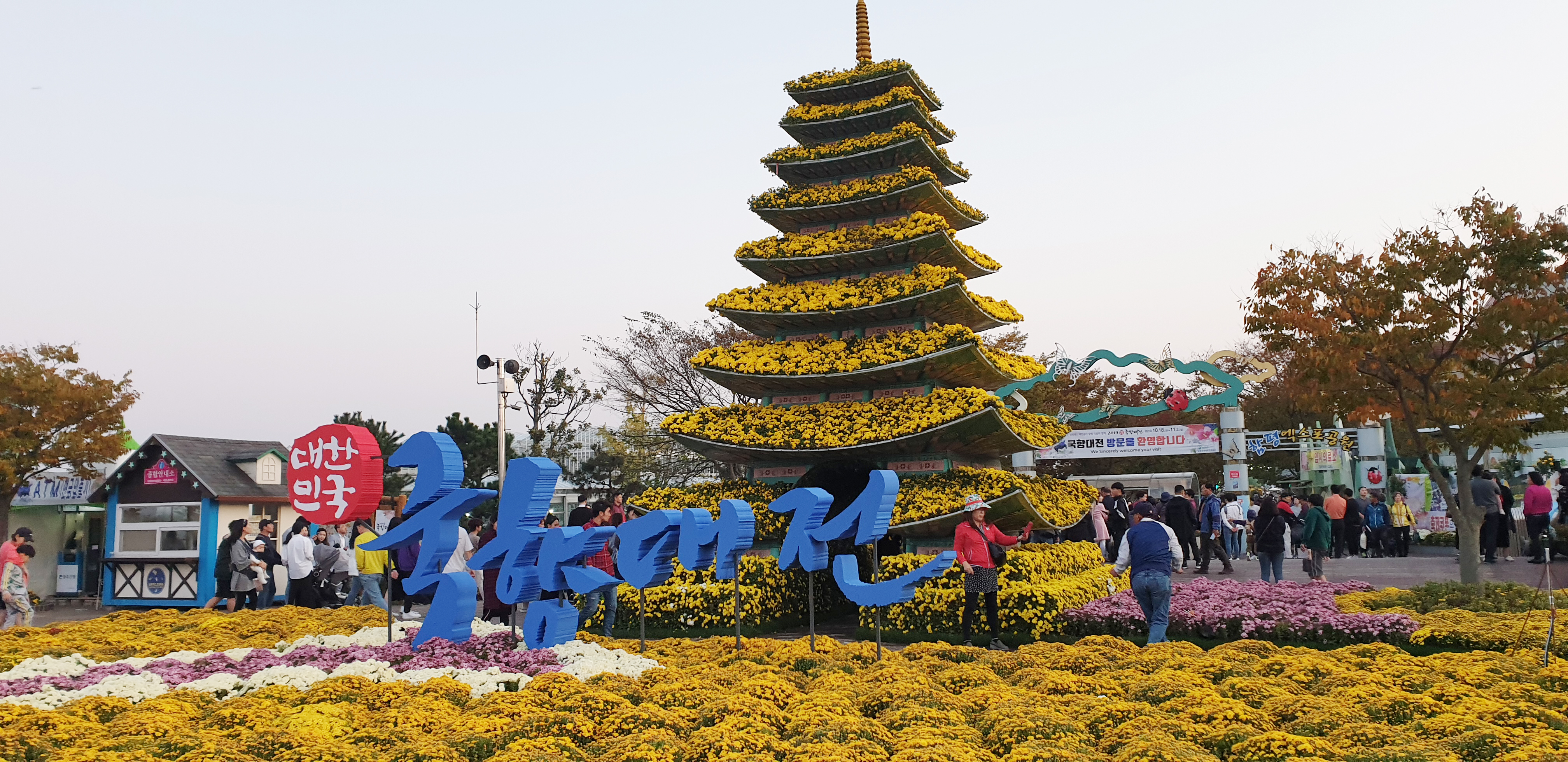국화향기 가득한 함평엑스포공원